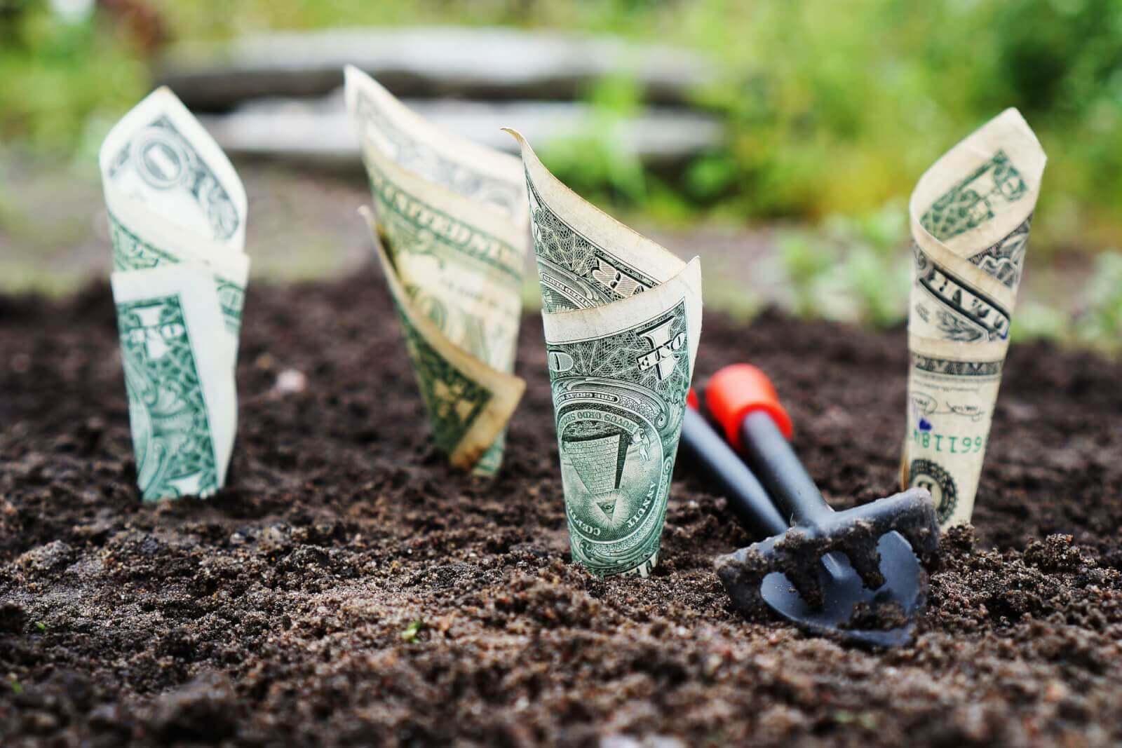 市场前景广阔 基金扎堆布局年金投资